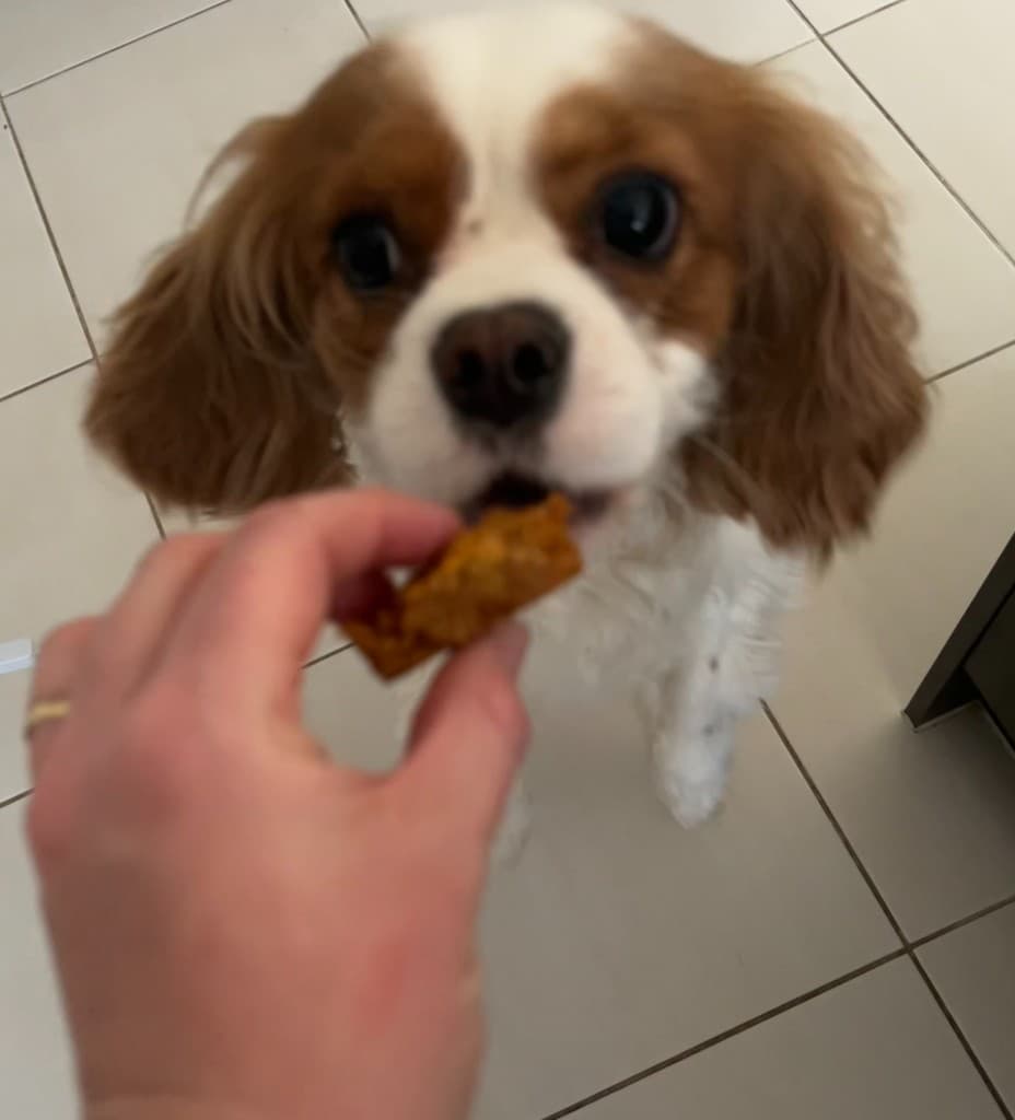 Dental Sticks – thumbnail 3