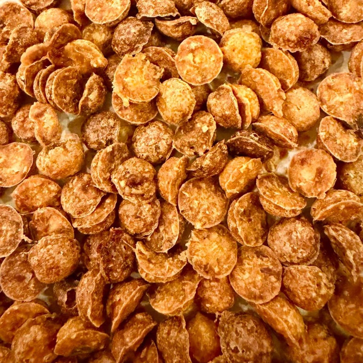 Training Treats – image 1