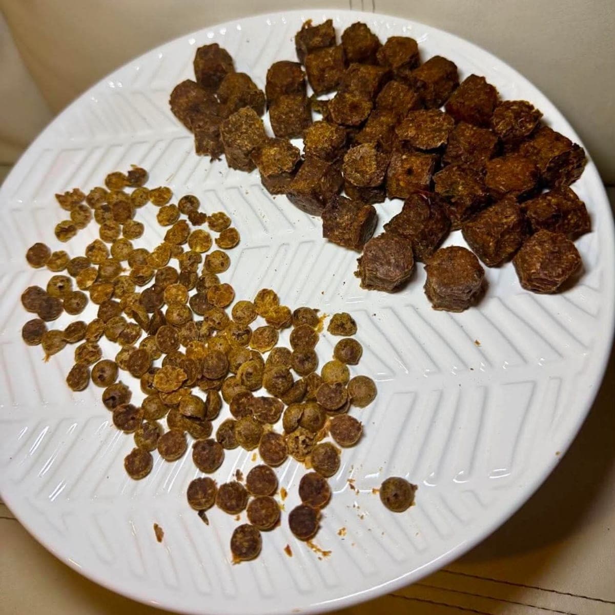 Training Treats – thumbnail 3